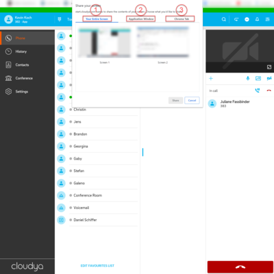 Screensharing_window_options_marked